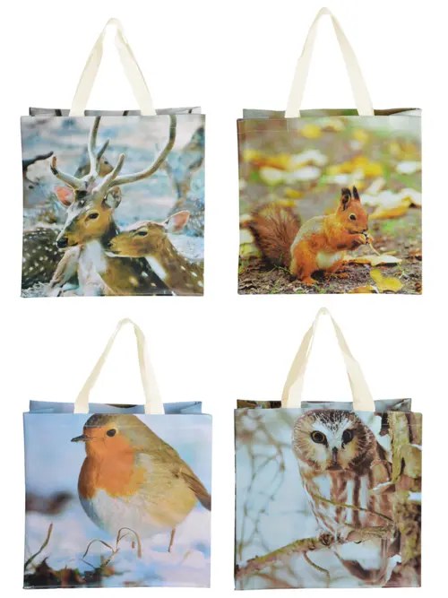 Pour tous vos besoins extérieurs：Sac de courses illustration nature au printemps - 39,5 x 14,5 x 40 cm