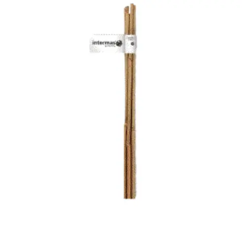 Vie extérieure：Tuteur bambou naturel coloris beige Ø 16/18 mm x 2,10 m