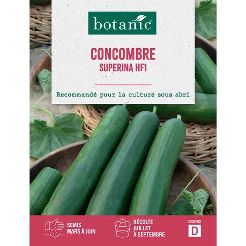 Une idée pour votre jardin:Graines de concombre superina HF1 botanic® - graines à semer