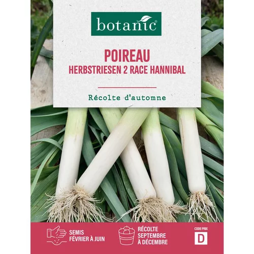Solution pour le jardin:Graines de poireau herbstriesen 2 race hannibal botanic® - graines herbstriesen semer
