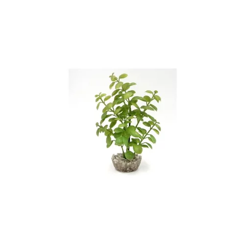 Pour mieux profiter du jardin:Arbre lentille vert en plastique petit modèle 10 cm