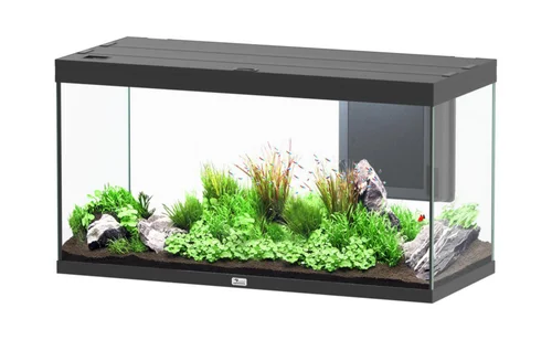 L’esprit jardin:Aquarium coloris noir Aquatlantis Volga LED 2.0 350 L - 122 x 52 x 66 cm