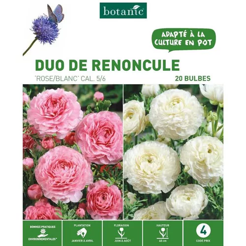 Idée pour le jardin:Duo Renoncule rose/blanc botanic® - 20 bulbes
