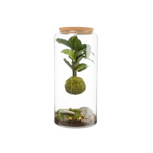 Pour tous vos besoins extérieurs:Terrarium Bulle de Nature suspension Mia Cala taille L - Ø 19 cm