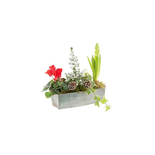 Pour tous vos projets jardin：Centre de Table Zinc Titanium 25Cm