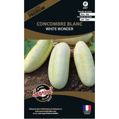 Graines potagères premium Concombre (Blanc White Wonder)