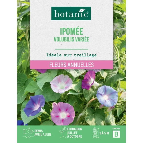 Jardin & loisirs：Graines de fleurs d'Ipomée volubilis variée botanic®