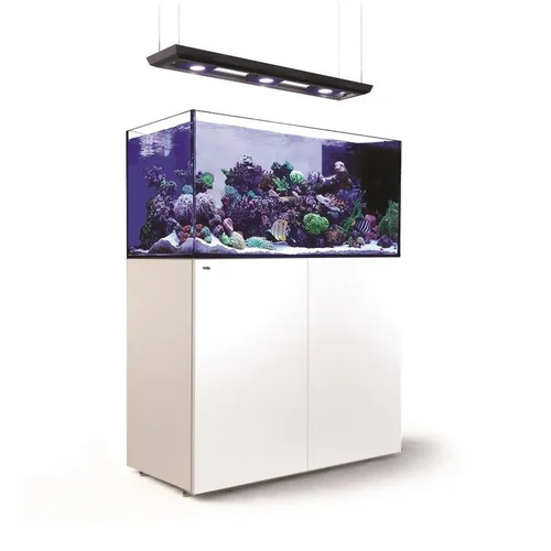 Solution nature:Aquarium ReefLED éclairage, meuble blanc, RED SEA AQUARIUM Peninsula Deluxe P500 - 500L