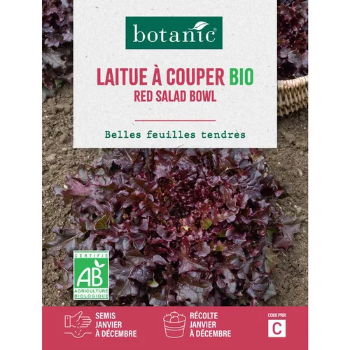 Pour plus de confort à l’extérieur:Graines de laitue à couper red salad bowl bio botanic® - graines à semer