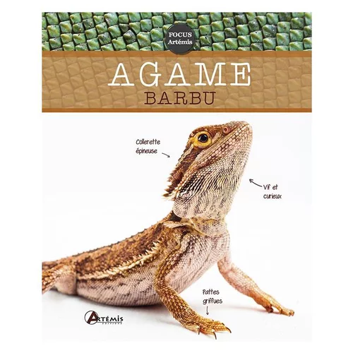 Une idée maline pour le jardin：Agame Barbu. Editions Artemis
