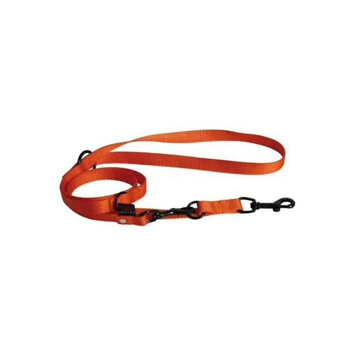 Parfait pour le jardin:Laisse dressage 3pt orange