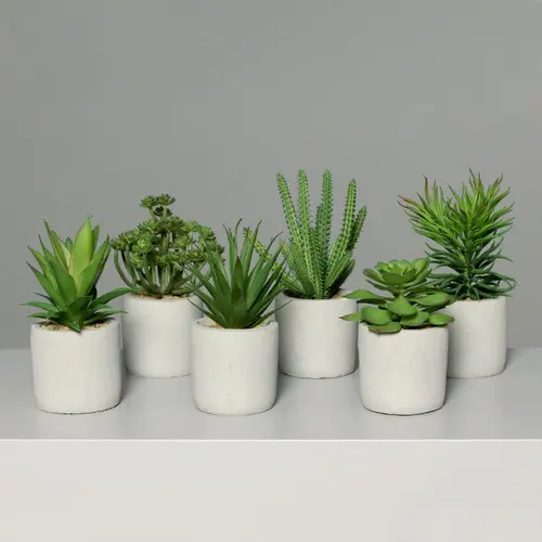 Pour aménager vos extérieurs:Succulente artificielle en pot béton - 14/20 cm