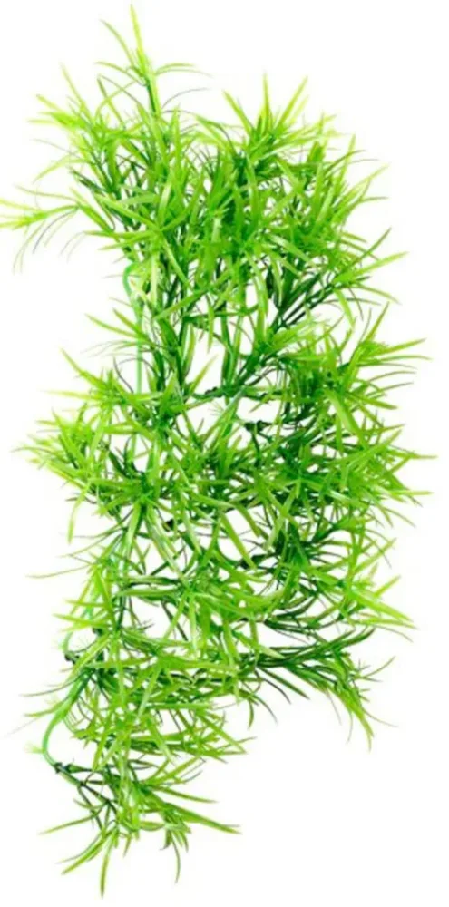 Mieux dehors:Plante grimpante artificielle pour terrarium coloris vert Hobby Tropica - Taille 37 cm
