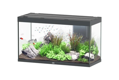 Le petit plus pour l’extérieur:Aquarium coloris gris Aquatlantis Sublime Ultra LED 2.0 333 L - 120 x 50 x 70 cm