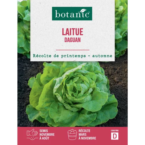Pour vos extérieurs：Graines de laitue d'Aguan botanic® - graines à semer