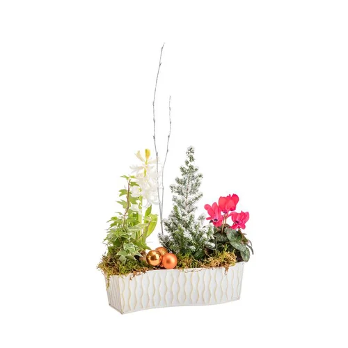 Jardin essentiel：Chemin de table petit modèle en zinc blanc