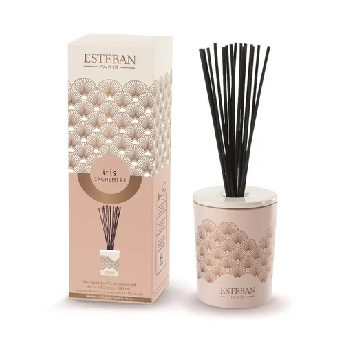 Pour transformer votre jardin：Bouquet parfumé déco et sa recharge Iris cachemire Esteban - 100 ml