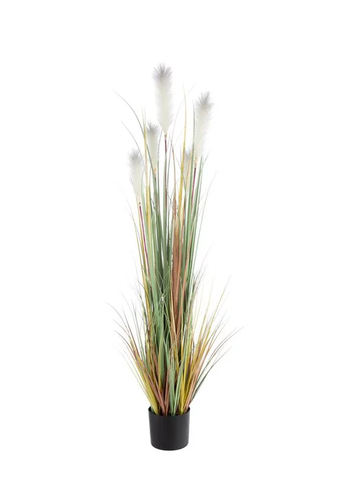 Vie extérieure：Pot de roseaux blancs coloris vert - 145 x 32 x 15 cm