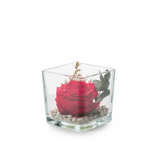 Déco pour le jardin:Verrine carrée de végétaux stabilisés rose rouge et eucalyptus Naturalys Genova 10 - 10 x 10 x 10 cm