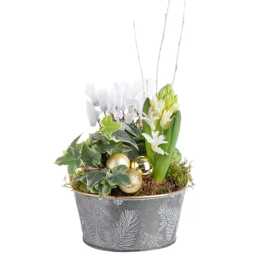 Jardin loisirs:Composition de Noël multicolore pot en zinc décor houx