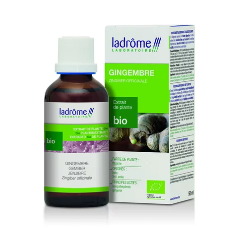 Plaisir au jardin:Gingembre extrait de plantes fraîches bio Ladrôme - 50 ml