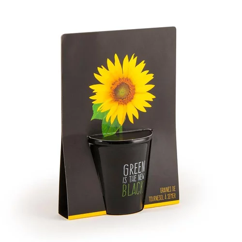 Facile jardin:Pot black en céramique noire de Tournesol à semer Ø 6