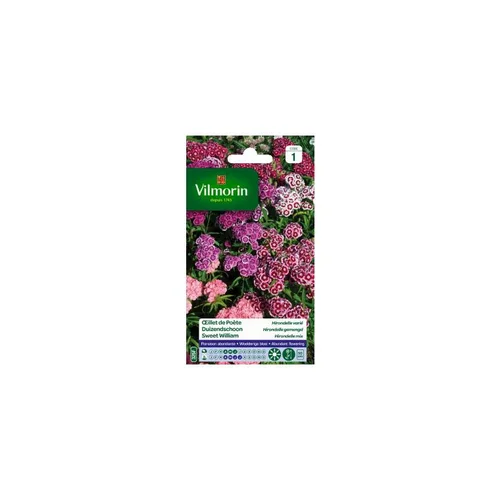 Idée jardin:Graines d’œillet de Poète Hirondelle varié Vilmorin - graines à semer