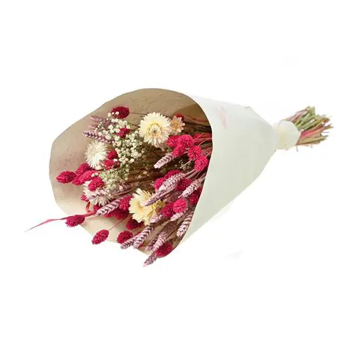 L’allié du jardin:Bouquet de fleurs séchées Naturalys Trendy rose - Ø 25/30 x H 50 cm