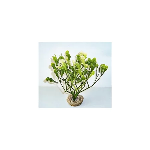 Au quotidien：Fucus vert en plastique 15 cm