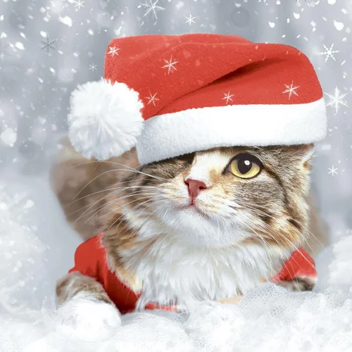 Jardin équipement:20 serviettes 3 plis Kitten Christmas - 33 x 33 cm