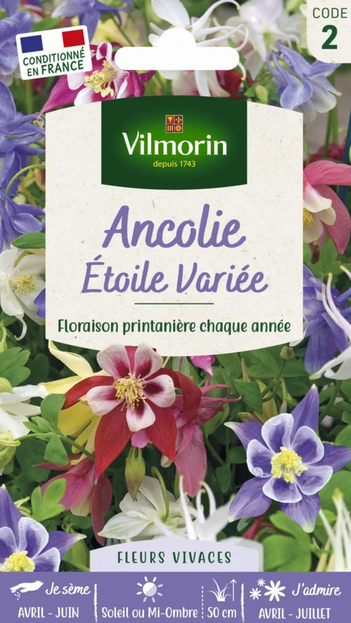 Pour mieux aménager votre jardin:Graines d’Ancolie Étoile variée Vilmorin - graines à semer