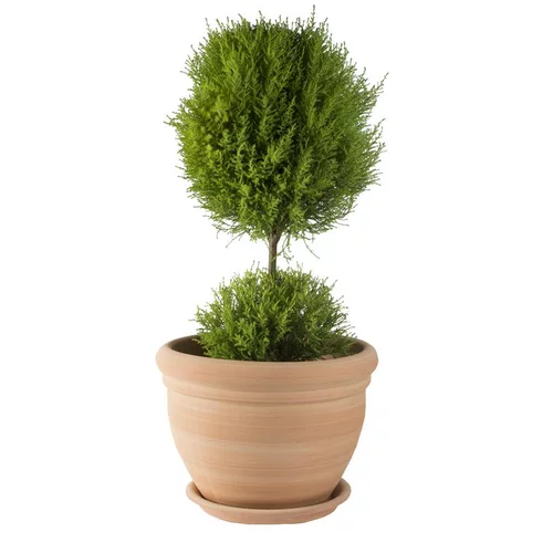 Nature pratique:Pot gamme Coco Ø 26 cm