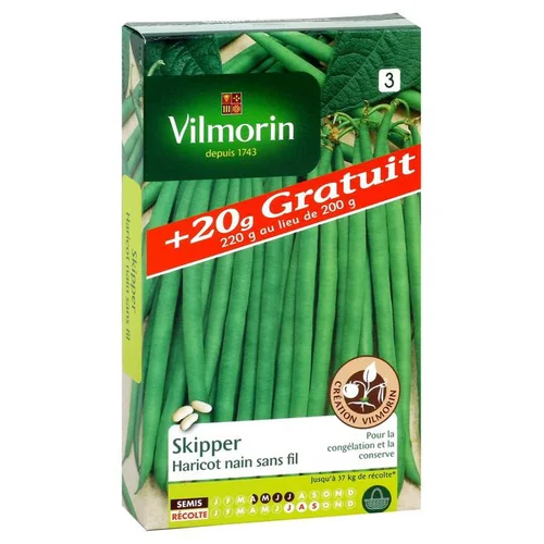 Solution pratique:Haricot nain sans fil Skipper Vilmorin - graines à semer