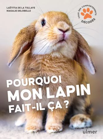 Qualité au jardin:Livre Pourquoi mon lapin fait-il ça ? Aux Éditions Ulmer - 96 pages