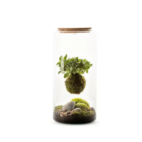 Idéal pour le jardin:Terrarium autonome botanic® Mia Kokeda Ma Fitto suspendu - Taille L Ø 19 cm H 40 cm