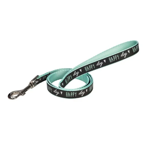 Pour un extérieur accueillant:Laisse verte Bobby Happy taille XS