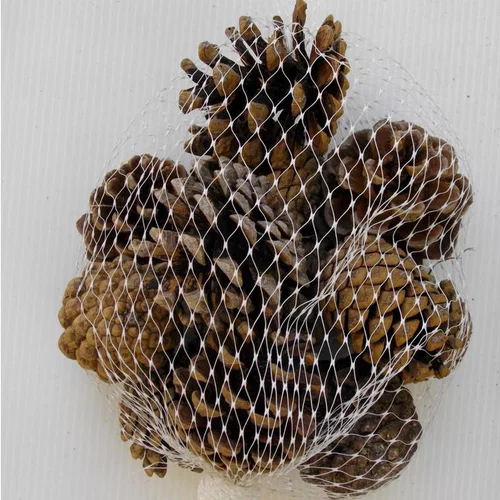 Jardin à adopter：Filet de 12 petites pommes de pin naturelles pour décoration de Noël