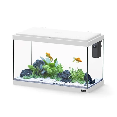 Jardin pratique：Aquarium d'eau froide et d'eau douce coloris blanc Aquatlantis Explorer Vienna 34 L - 35 x 50 x 25 cm