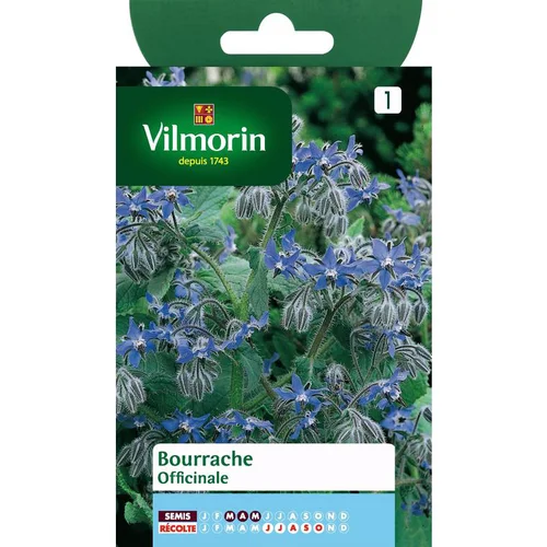 Inspiration jardin:Bourrache Officinale Vilmorin - graines à semer