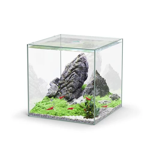 Pour un jardin bien équipé:Aquarium cuve nue Kubus - 33L