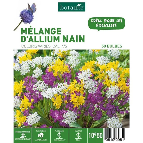 Pour vos jardins:Mélange d'Allium botanic® - 50 bulbes