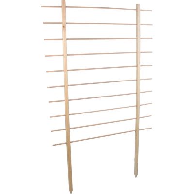 Support en bois de pin pour plantes Treilli (100 x 170 cm)