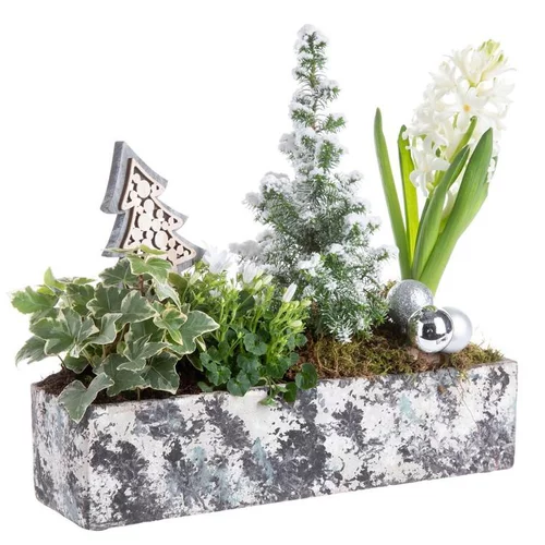 Pour l’extérieur：Jardinière Aquarelle pour centre de table Sonnendrucker - 20 cm
