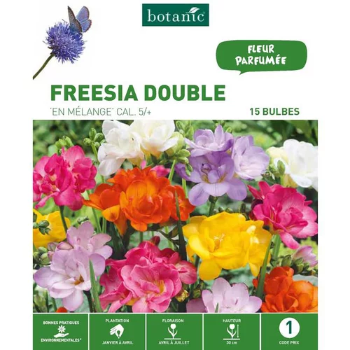 Pour mieux vivre dehors:Freesia Double en mélange botanic® - 15 bulbes