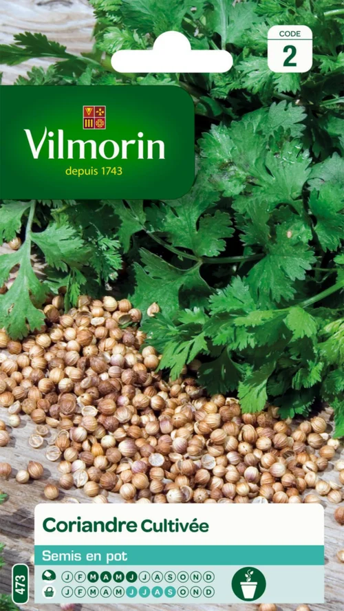 Durable au jardin:Coriandre Cultivée Vilmorin - graines à semer