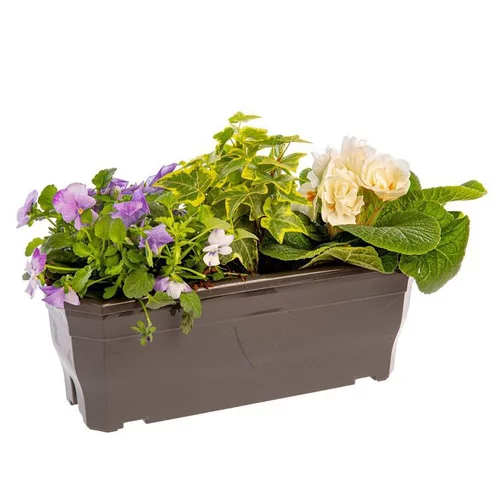 Simple au jardin:Jardinière printanière de Viola, Lierre et Primevère à fleurs multicolores - La jardinière de 30 cm