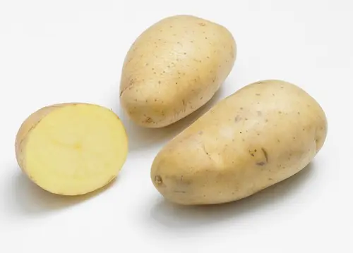 Durable au jardin：Sachet de pommes de terre monalisa calibre 28/35 - 1,5 kg