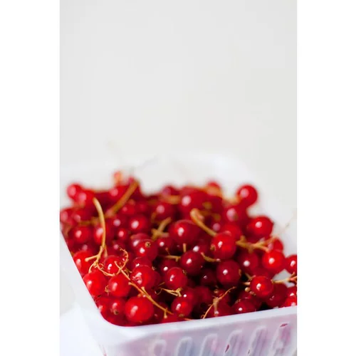 Pour tous vos besoins jardin:Groseilles bio de France - Barquette de 125 g