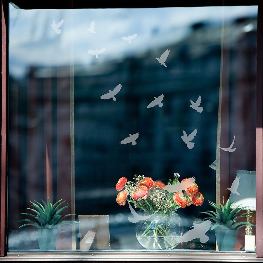 15 stickers oiseaux anti – collision translucide 40 × 40 cm
