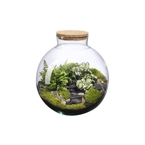 Pour un extérieur bien équipé:Terrarium autonome Havana Landscape botanic® - taille L
